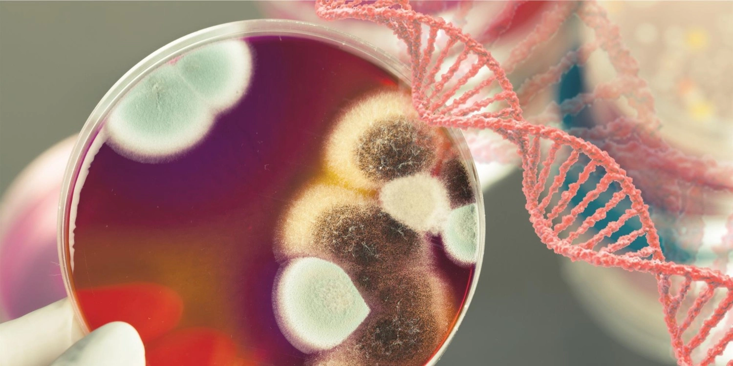 Laboratorio Perez Elizalde - Servicios - Endocrinologia (4)