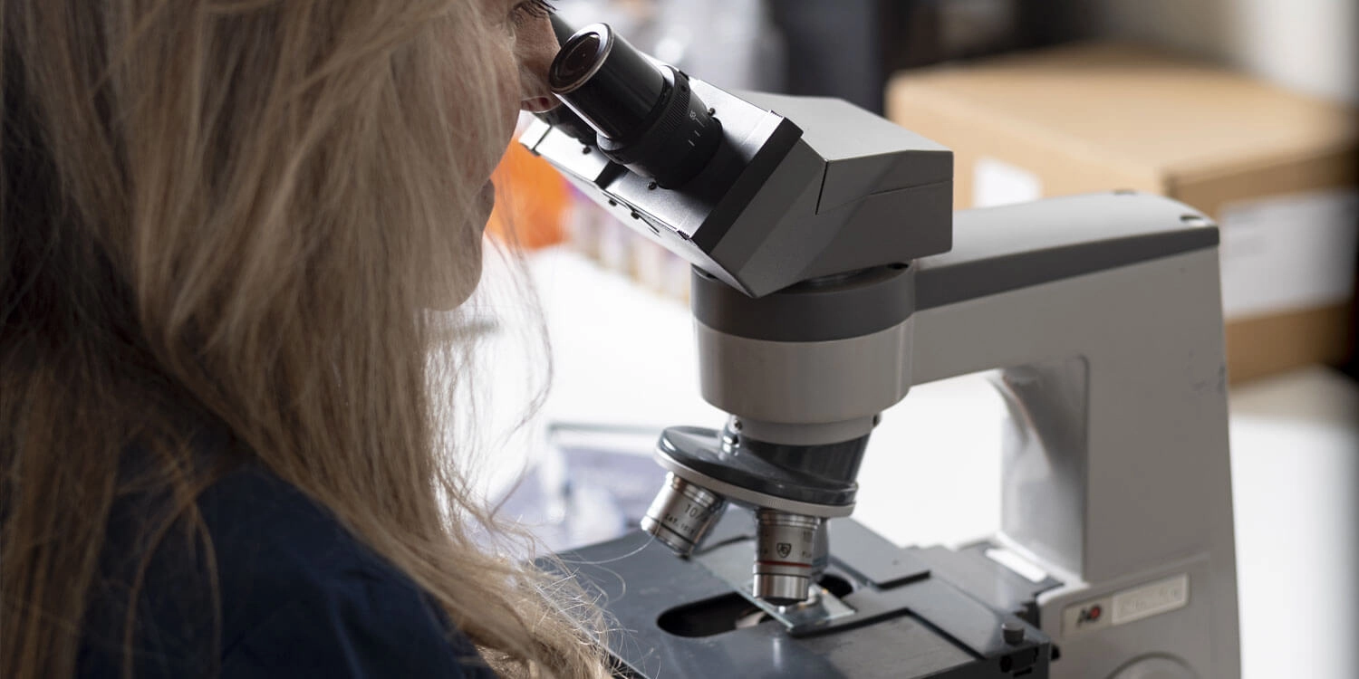 Laboratorio Perez Elizalde - Servicios - Quimica clinica (3)